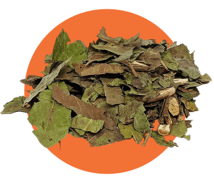 Chá Verde Natural - Loja de Chá Natural Online