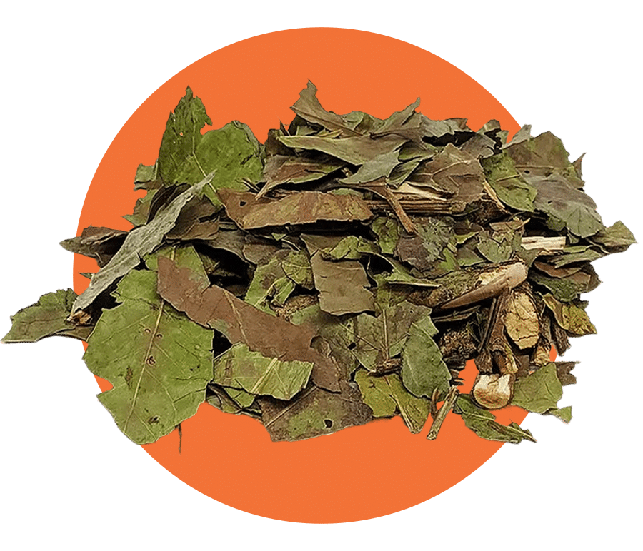 Chá Verde Natural - Loja de Chá Natural Online