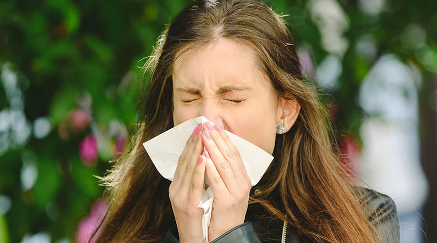 Chás para Alergias: Alergias Respiratórias